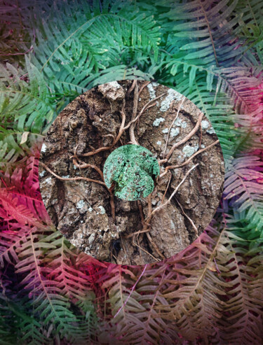 Photography titled "Nature Circle #2" by Pascal Carro (ORAK), Original Artwork, Digital Photography