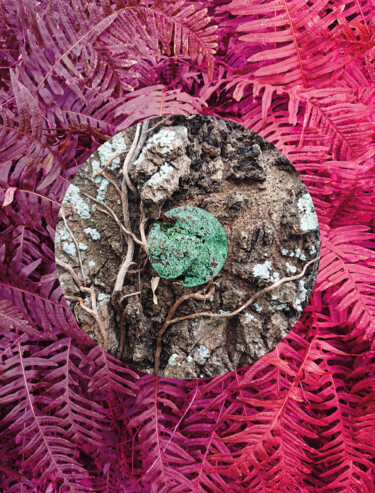 Photography titled "Nature Circle #4" by Pascal Carro (ORAK), Original Artwork, Manipulated Photography