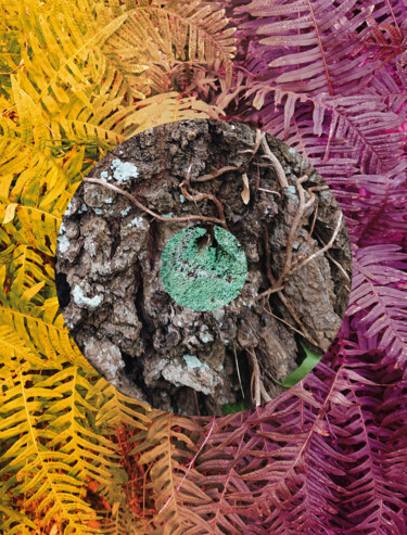 Photography titled "Nature Circle #5" by Pascal Carro (ORAK), Original Artwork, Manipulated Photography