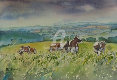 les vaches de Rosnoën