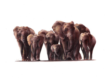 Dessin intitulée "A Herd of African E…" par Daria Maier, Œuvre d'art originale, Stylo à bille