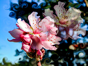 Photographie intitulée "Reflejo" par Elizabeth Garces, Œuvre d'art originale, Photographie manipulée