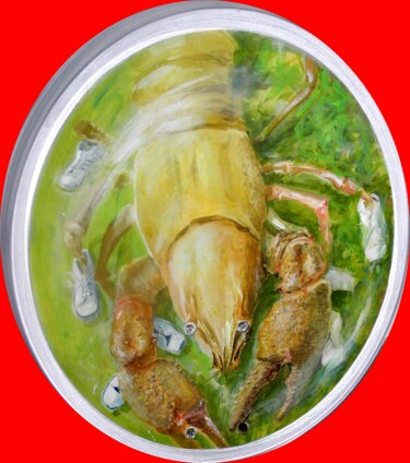 Paraboles Crevette dans le parc AVENTURE LAND