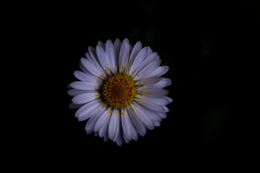 Photography titled "White from the dark" by Corentin Thauvin, Original Artwork, Non Manipulated Photography