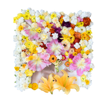 摄影 标题为“Bloom of spring” 由Ziesook You, 原创艺术品, 数码摄影