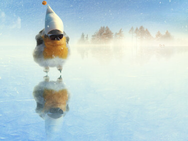 数字艺术 标题为“Schneeflöckchen” 由Frank Melech, 原创艺术品, 数码摄影