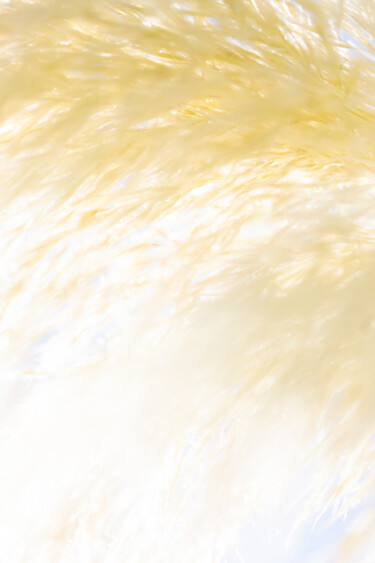 Fotografía titulada "Légéreté" por Francois-Baptiste Guillot, Obra de arte original, Fotografía digital