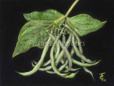 Drawing titled "La fin..." by Pastels Et Velours, Original Artwork, Pastel Mounted on Cardboard