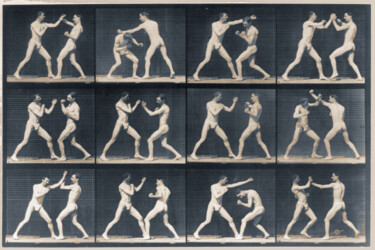 Muybridge Locomotion, Men Boxing, 1887 Painting titled "Muybridge Locomotio…" by Tony Rubino, Original Artwork, Acrylic Mounted on Wood Stretcher frame