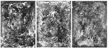 绘画 标题为“Hypnagogy 1-2-3” 由Jérémy Jacquin, 原创艺术品, 丙烯