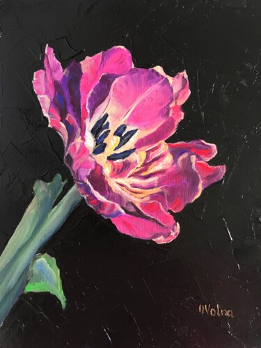 Lilac Tulip Schilderij getiteld "Lilac Tulip" door Olga Volna, Origineel Kunstwerk, Olie