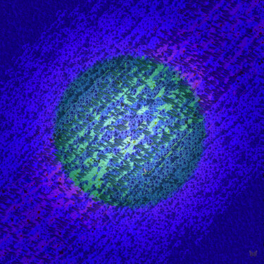 数字艺术 标题为“Saturne ( avec réal…” 由Frédéric Durieu & Nathalie Erin, 原创艺术品, 2D数字工作 安装在铝上