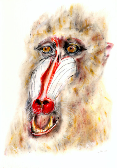 Σχέδιο με τίτλο "mandrill" από Babett Landsberger, Αυθεντικά έργα τέχνης, Κιμωλία