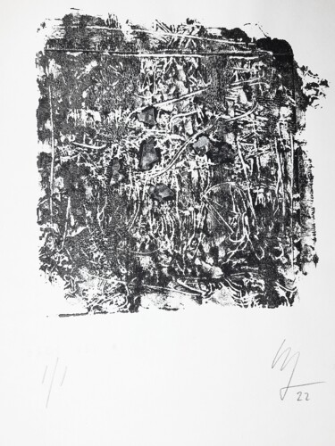 印花与版画 标题为“MONO-T #1” 由Mimas, 原创艺术品, 蒙纳