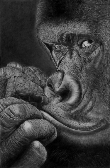 Dessin intitulée "Thinking of Fay!" par Paul Stowe, Œuvre d'art originale, Graphite