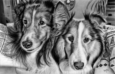 图画 标题为“Blue and Cooper” 由Teresa Payne Art, 原创艺术品, 木炭