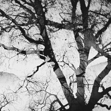 Photography titled "Essence #1" by Elena Raceala, Original Artwork, Digital Photography