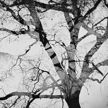 Photography titled "Essence #3" by Elena Raceala, Original Artwork, Digital Photography