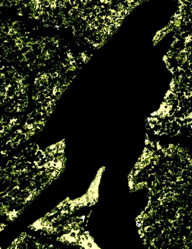 摄影 标题为“Silhouettes  100a4” 由Ken Lerner, 原创艺术品, 数码摄影