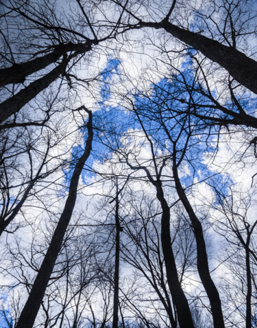 Photography titled "Overlapping, Interl…" by Gwendolyn Roth, Original Artwork, Digital Photography