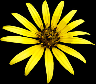 Photography titled "O Sole Mio" by Duncan Bennett, Original Artwork, Digital Photography