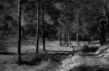 摄影 标题为“Chemin du causse” 由Frédéric Duchesnay, 原创艺术品, 电影摄影