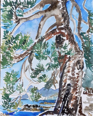 Painting titled "Pin tordu, Sainte-M…" by Diane Medus, Original Artwork, Watercolor