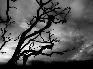"Catch The Sky" başlıklı Fotoğraf Marie Busso tarafından, Orijinal sanat, Dijital Fotoğrafçılık