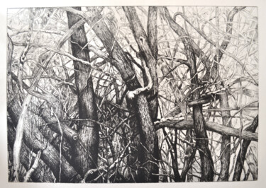 印花与版画 标题为“Maquis1 gravure” 由François Crinel, 原创艺术品, 雕刻
