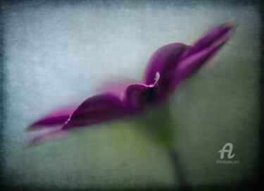 Photography titled "Purple wave" by Barbara Corvino, Original Artwork, Digital Photography