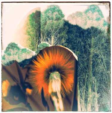 Digital Arts titled "The Spirit of Ash-S…" by Amelia Latiff, Original Artwork, Photo Montage