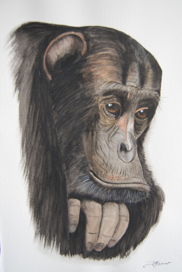 Painting titled "la petite guenon-…" by Patricia Giroldini Hyvernat, Original Artwork, Watercolor