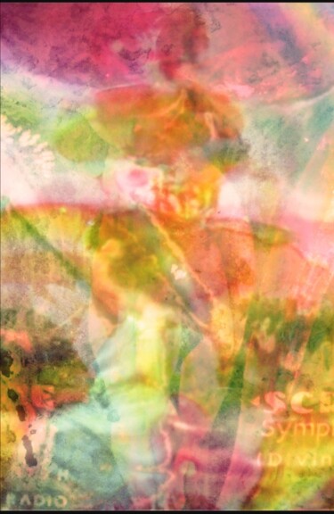 数字艺术 标题为“Liber Amoris The Bo…” 由Devorah Rosen, 原创艺术品, 数字油画