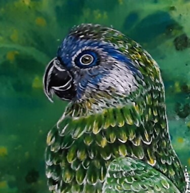 图画 标题为“perroquet vert” 由Iakim, 原创艺术品, 丙烯 安装在木质担架架上