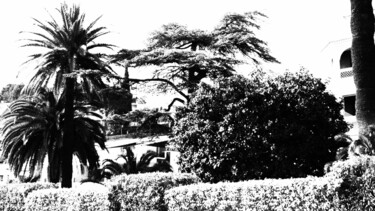 Photographie intitulée "LES ARBRES" par Musclor, Œuvre d'art originale, Photographie non manipulée