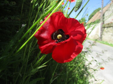 Photographie intitulée "rouge" par Aurélien Comte, Œuvre d'art originale, Photographie numérique
