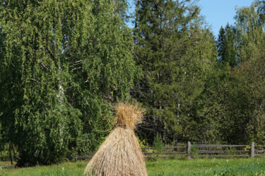 Цифровое искусство под названием "Sheaf at the outski…" - Pavel Sheluntsov, Подлинное произведение искусства, Цифровая живоп…