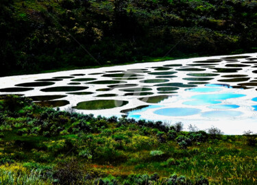 South Okanagan Grassland Protected Area in Canada #2 Photographie intitulée "South Okanagan Gras…" par Clement Tsang, Œuvre d'art originale, Photographie numérique