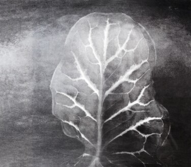 摄影 标题为“Evolution.....” 由Philippe Berthier, 原创艺术品, 数码摄影