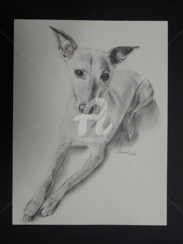 Drawing titled "chien sphynx" by Sophie Binet, Original Artwork, Pastel