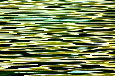 Central Park 4 - Pond Water 11c Photographie intitulée "Central Park 4 - Po…" par Ken Lerner, Œuvre d'art originale, Photographie numérique