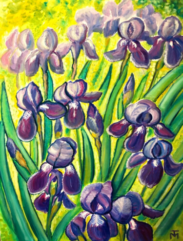 Iris im Garten