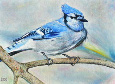JAY" in a frame Malarstwo zatytułowany „JAY" in a frame” autorstwa Sergey Suslov, Oryginalna praca, Olej