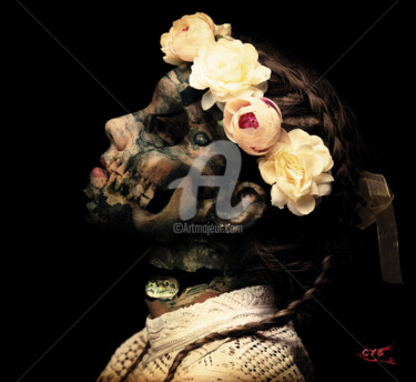Arts numériques intitulée "Création 305" par Accèscyb, Œuvre d'art originale, Photo montage