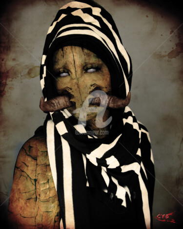 Arts numériques intitulée "Création 289" par Accèscyb, Œuvre d'art originale, Photo montage