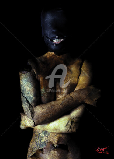 Arts numériques intitulée "Création 145" par Accèscyb, Œuvre d'art originale, Photo montage