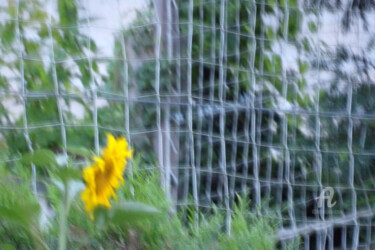 「Abstract vivid sunf…」というタイトルの写真撮影 Cédric Hajijiによって, オリジナルのアートワーク, デジタル