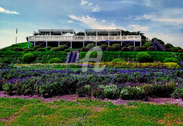 Awaji-Hanasajiki Garden in Japan #11 Photography titled "Awaji-Hanasajiki Ga…" by Clement Tsang, Original Artwork, Digital Photography