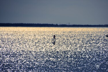 Photography titled "Pixel" by Dominique Guillaume, Original Artwork, Digital Photography
