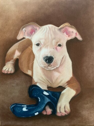 Dessin intitulée "Chiot AmStaff" par Jess.C.Art, Œuvre d'art originale, Pastel Monté sur Verre